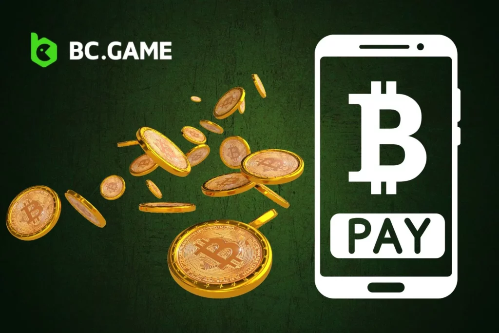 Crypto Payments on BC Game